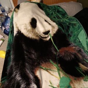Twin thick panda blanket